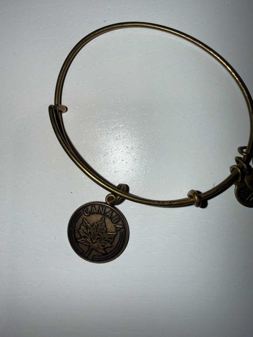 Alex and Ani Bangle Bracelet with Pink Crystal Charm - Picture 3 of 5